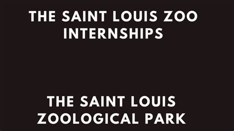 stl zoo hiring|Internships .